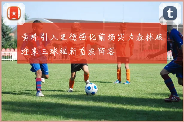 黄蜂引入里德强化前场实力森林狼迎来三球组新首发阵容
